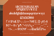 Rodagile Modern Display Serif, a Serif Font by timelesstype.co (Thumbnail 18 of 20)