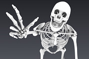 Human skeleton rigged, a Characters & Person 3D Model by konstantin.ermolaev (Thumbnail 13 of 27)