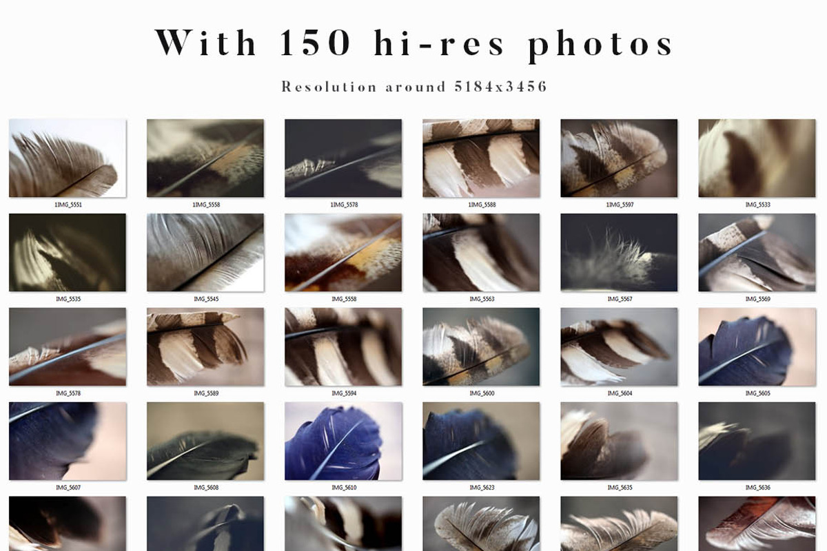Feather Toolkit - Photos & Graphics, a Mockup by Cruzine (Photo 6 of 9)