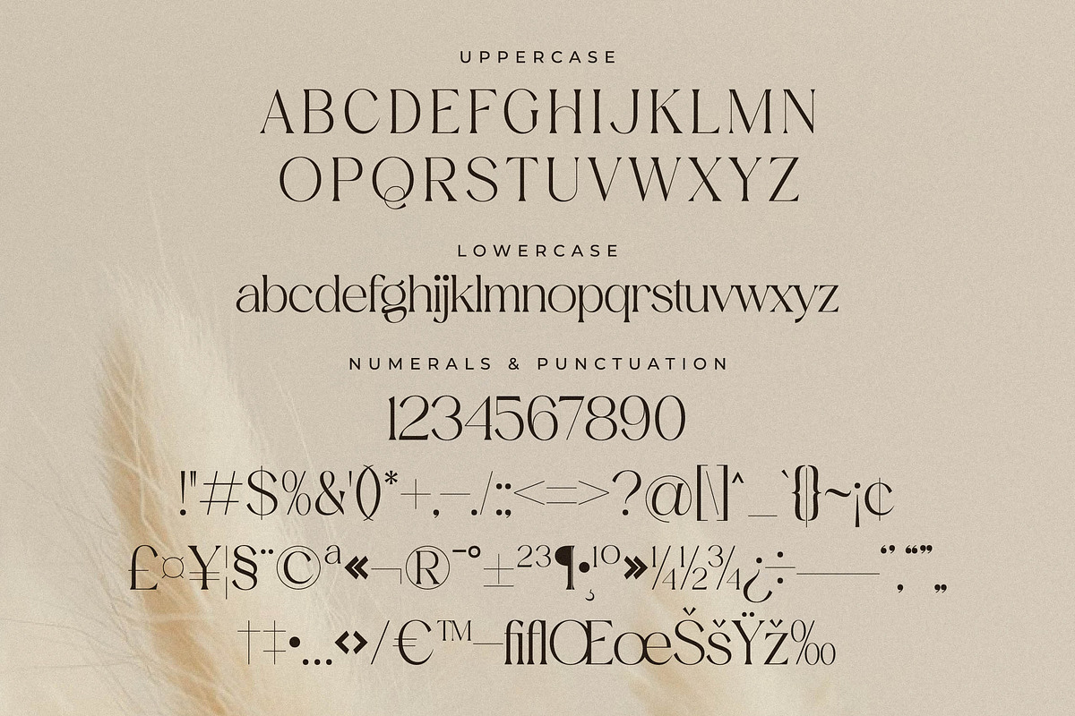 Aurora Magnollia Font Duo, a Serif Font by Storytype Studio (Photo 11 of 15)
