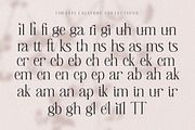 Chelvin Elegant Serif, a Serif Font by Dora Typefoundry (Thumbnail 18 of 20)