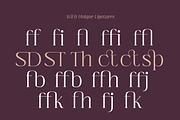 Imperial Aureas a Minimal Serif, a Serif Font by Lettertype Studio (Thumbnail 14 of 16)