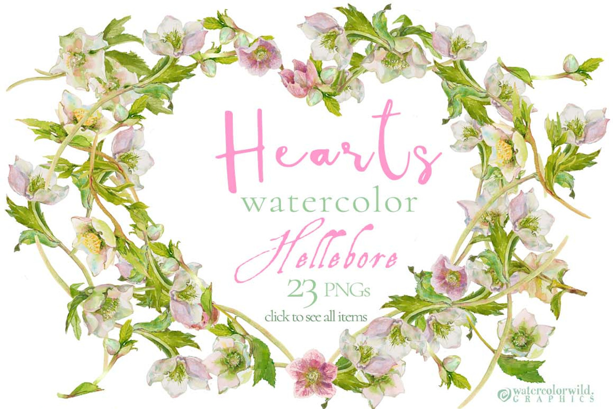 Hearts-watercolor-Hellebore, an Illustration by watercolorwild.graphics (Photo 1 of 19)