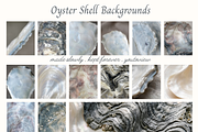 Oyster Shell Textures Backgrounds, a Background Graphic by youtoview (Thumbnail 3 of 12)