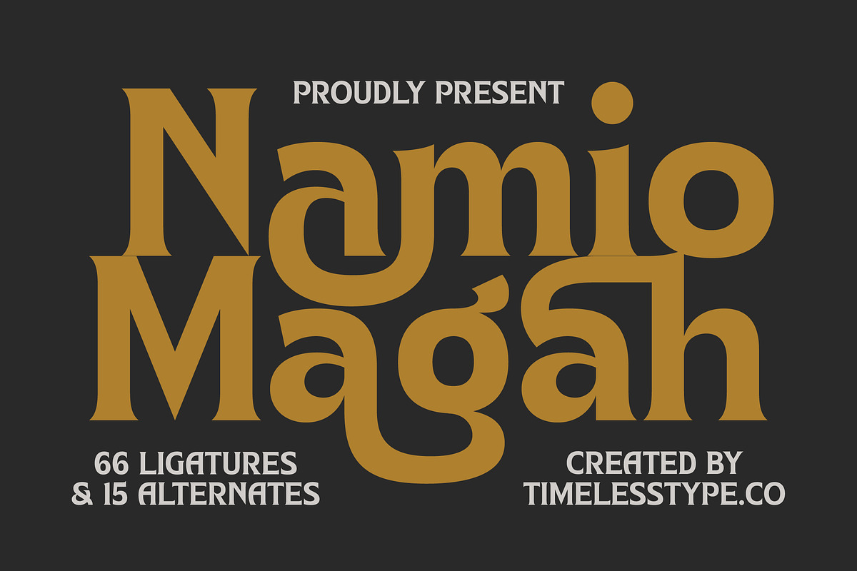 Namio Magah Modern Display Serif, a Serif Font by timelesstype.co (Photo 1 of 20)