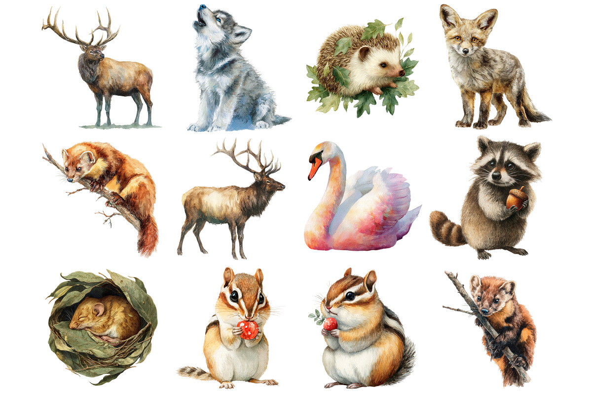 Forest Animals Watercolor Clipart, a Graphic by CitraGraphics (Photo 3 of 4)
