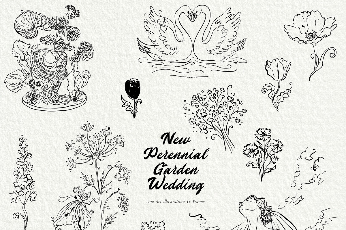 New Perennial Garden Wedding, a Decorative Illustration by divanovskaya_nv (Photo 8 of 27)