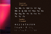 Rallinsah Serif Font, a Serif Font by Typegoals Studio (Thumbnail 8 of 9)