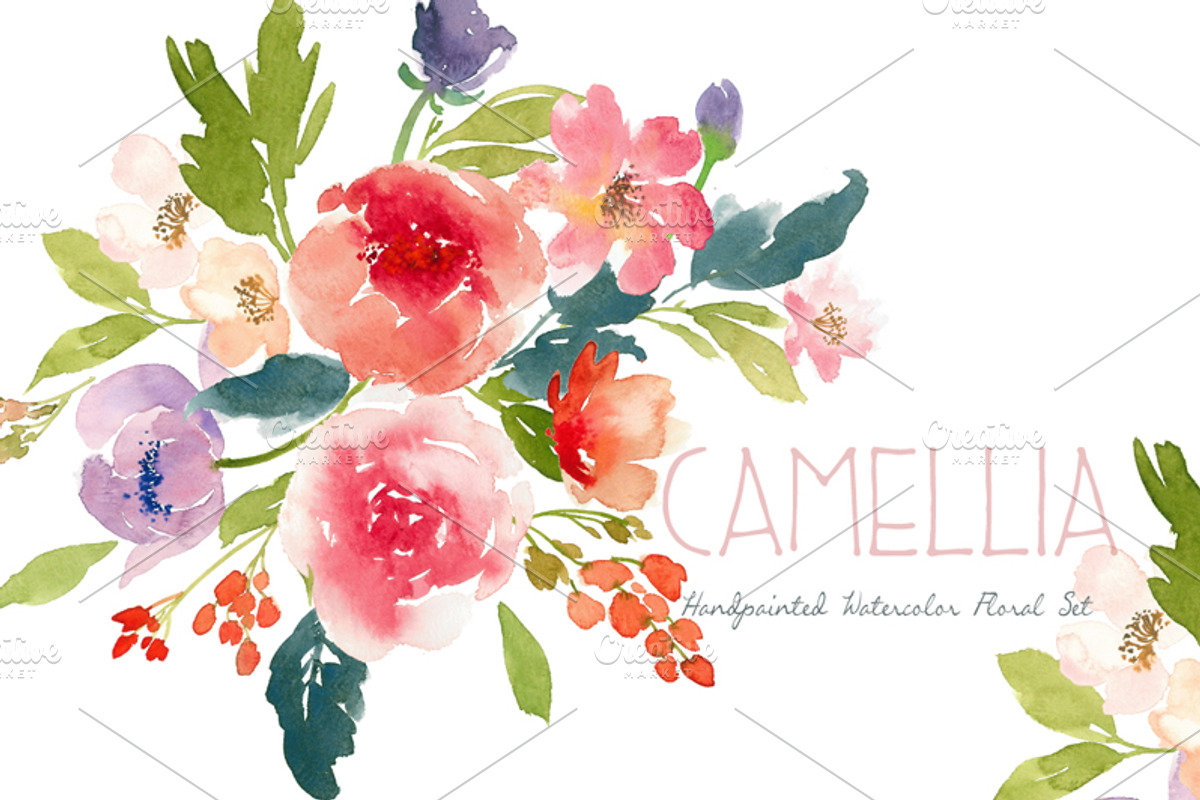 Camillia - Watercolor Floral Set, an Illustration by SmallHouseBigPony (Photo 1 of 6)