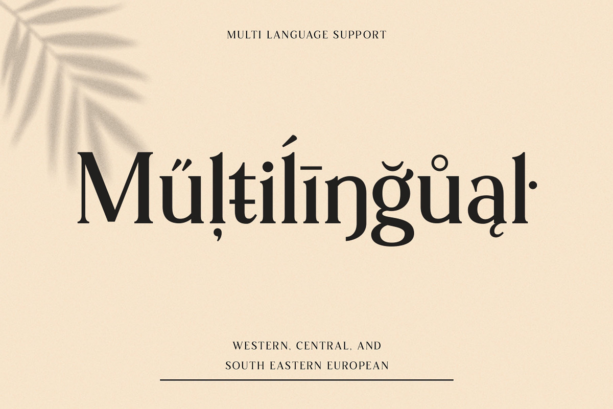 Sochelia - Modern Serif Font preview 5