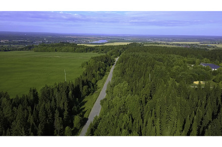 Bird's-eye view. Clip. A huge forest, a Nature Photo by Media Whale Stock