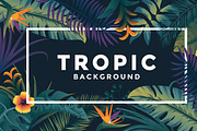 Tropical backgrounds, a Texture Illustration by Creative Graphics (Thumbnail 2 of 11)