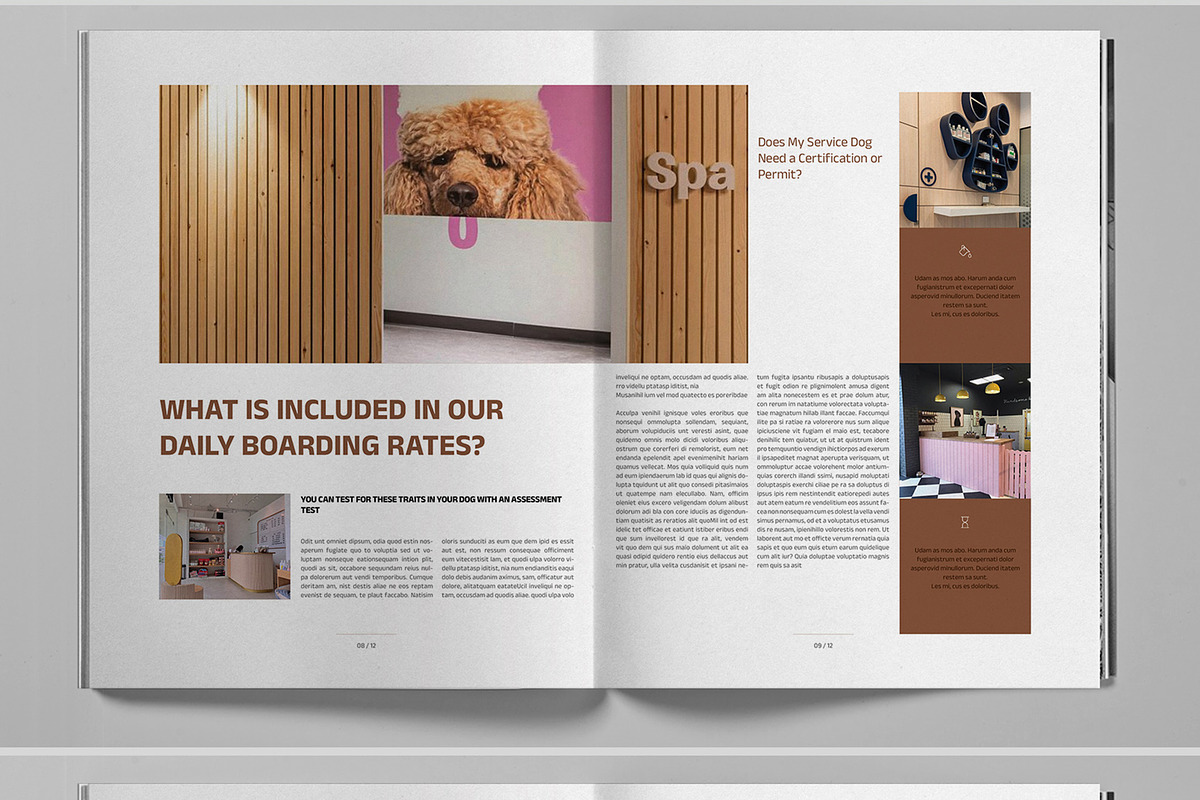Dog Daycare Business Brochure, a Brochure Template by Boris Cupac (Photo 6 of 7)