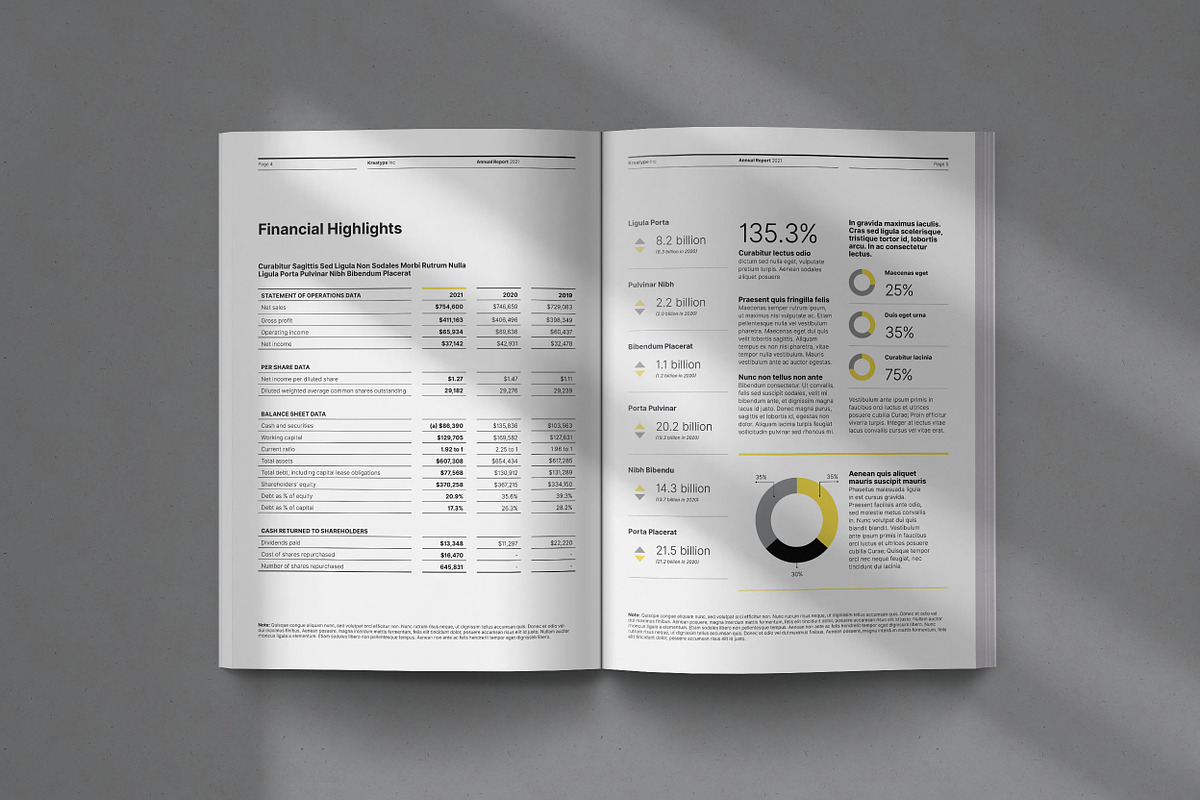 Kreatype Annual Report, a Brochure Template by Kreatype Studio (Photo 3 of 17)