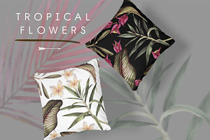 UPDATE - Tropical Bundle & Flamingo