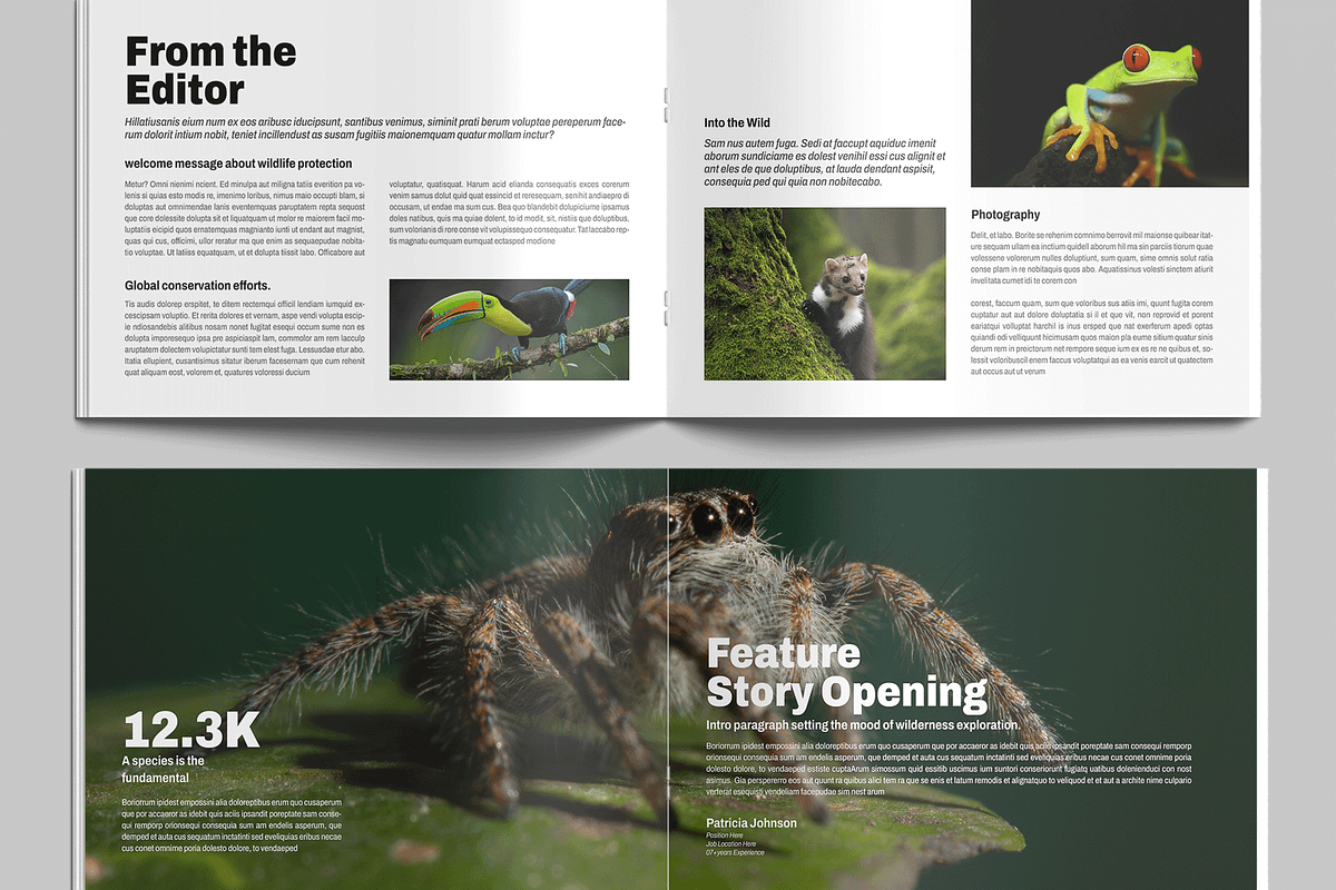 Wildlife Photography Magazine, a Magazine Template by MightyDesign (Photo 3 of 9)