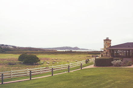 Vineyard Hills Napa Valley preview 6
