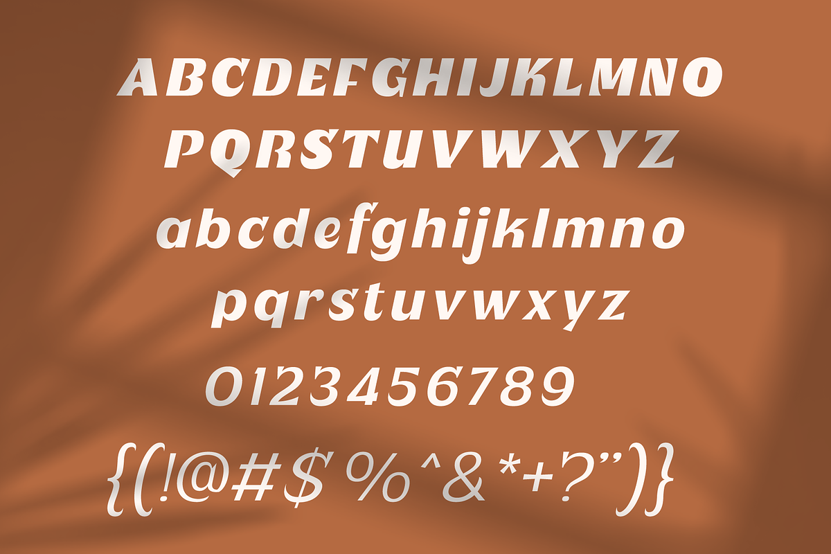 Plenary - A Lovely Sans Display, a Sans Serif Font by Fridaytype (Photo 8 of 12)