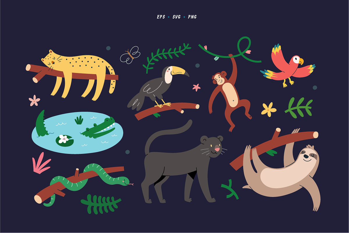 Jungle animals, sloth and leopard, an Animal Illustration by Fave Brush (Photo 2 of 10)