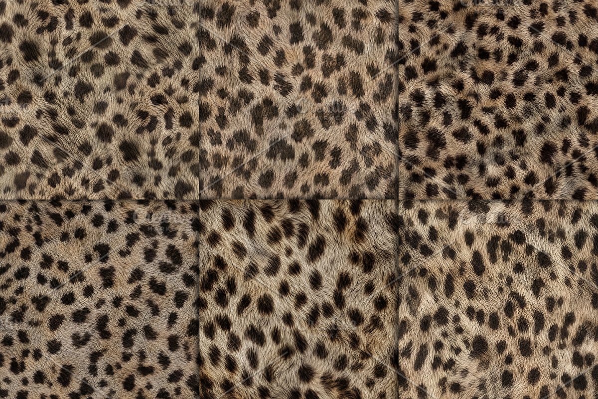 Realistic Leopard Fur Texture, a Pattern Graphic by Artonix (Photo 2 of 3)