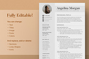 Resume/CV - The Angel, a Resume Template by CreativeLandStudio (Thumbnail 7 of 10)