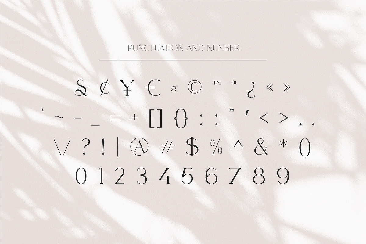 Lusican - Serif Display Font, a Sans Serif Font by Vesvocrea (Photo 9 of 9)