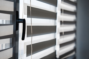 Close-Up of Window Handle and Zebra