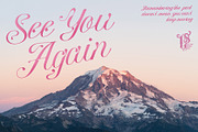 Wastecosta, a Script Font by LetterStock (Thumbnail 7 of 7)