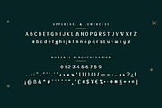 Asetin, a Sans Serif Font by twinstd (Thumbnail 10 of 12)