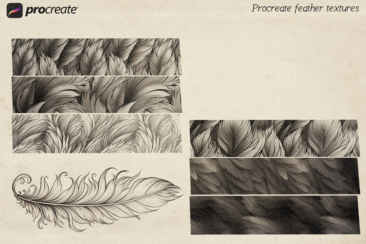 Procreate Feather Textures, a Brush Add-On by Studio.Valhalla (Photo 3 of 4)
