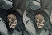Pastel Bronze Mobile Lightroom, an Action Add-On by Ultra Pixel (Thumbnail 11 of 12)