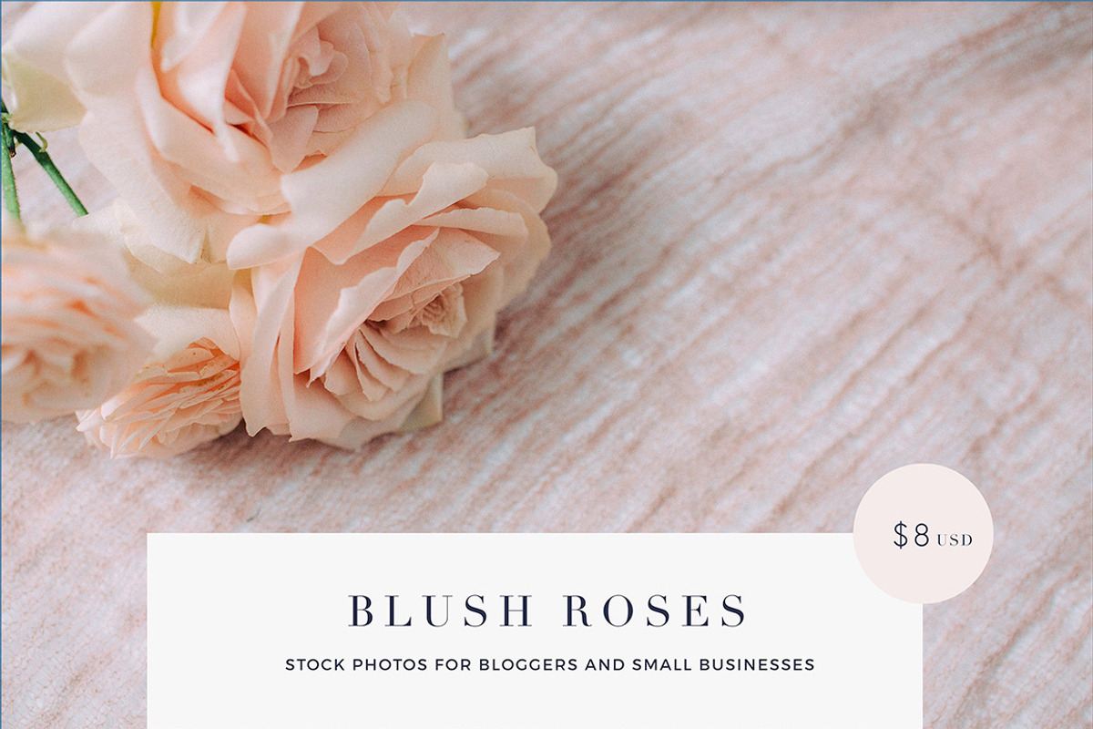 Blush roses stock photos SALE!, a Books & Magazine Mockup by Nellaino (Photo 1 of 4)