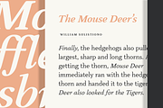 Slippery; Warm Serif, a Serif Font by Eko Bimantara (Thumbnail 5 of 11)