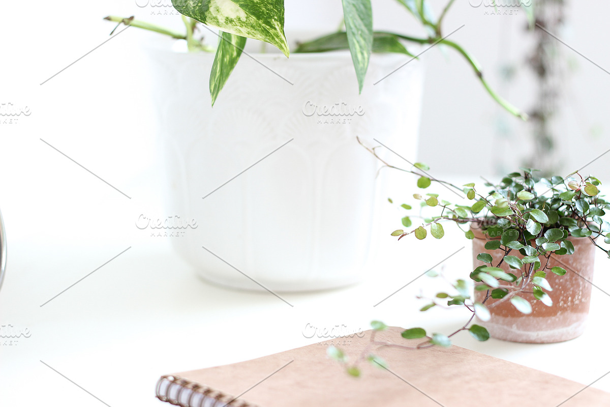 Neutral Collection | Styled Stock, a Business Photo by Chalking Up Stock (Photo 13 of 25)