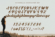 Biyonella - Retro Bold Script Font, a Script Font by StringLabs (Thumbnail 11 of 13)