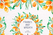 Sea-buckthorn, watercolor collection, an Illustration by Mallinka (Thumbnail 3 of 11)
