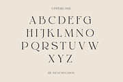 Reglarik | Modern Serif, a Serif Font by Denustudios (Thumbnail 8 of 10)