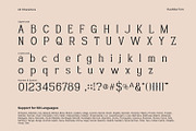 Rushlike, a Serif Font by yumnatype (Thumbnail 10 of 10)