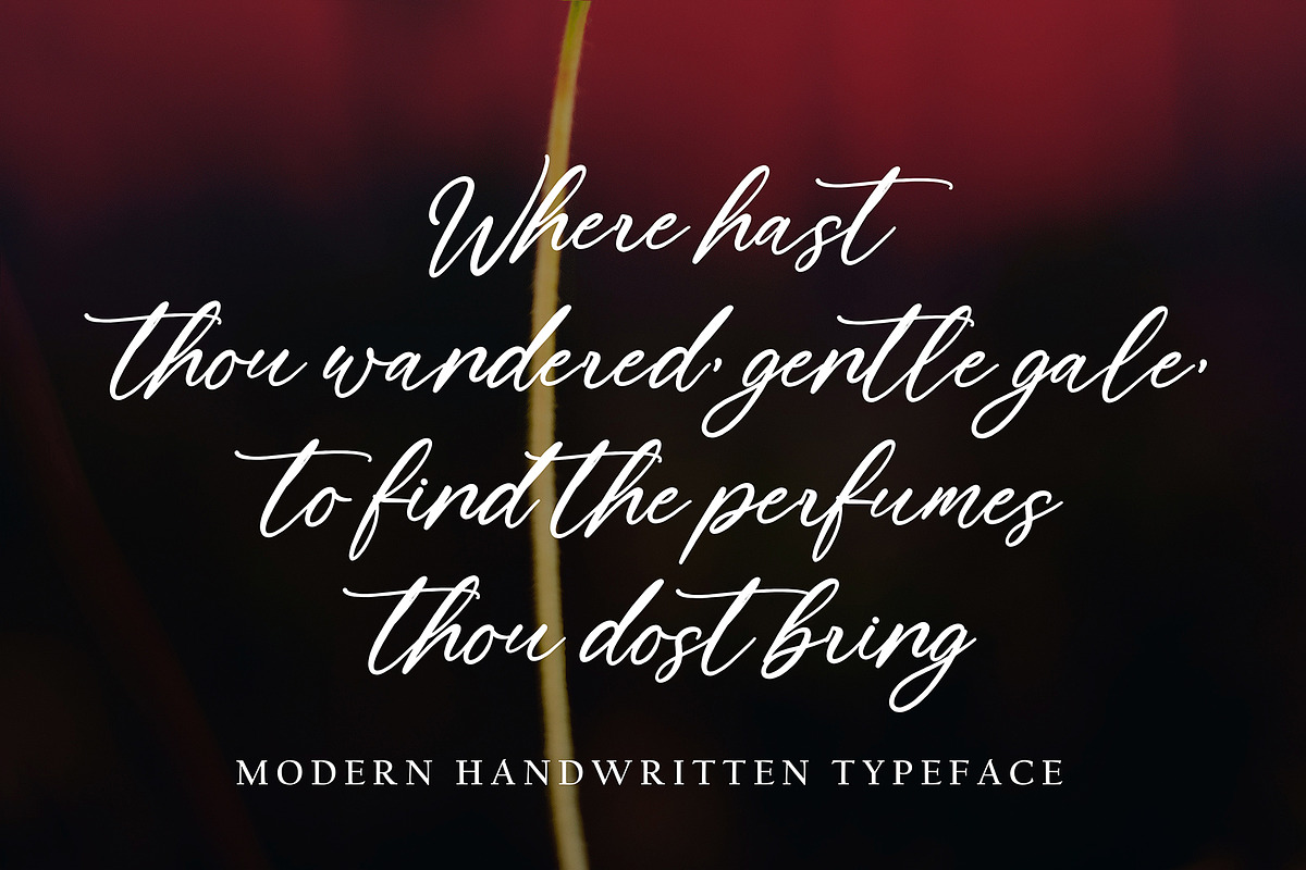Eurotica, a Handwritten Font by pineungtype (Photo 1 of 7)