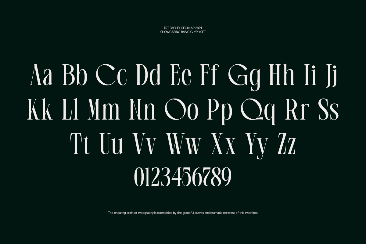 TRT Pachel Luxury Editorial Serif, a Serif Font by truetype (Photo 3 of 15)