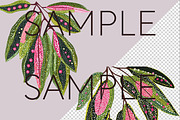 Aboriginal-Style Eucalyptus Clipart, a Decorative Illustration by Pawcasso's Portraits (Thumbnail 2 of 9)