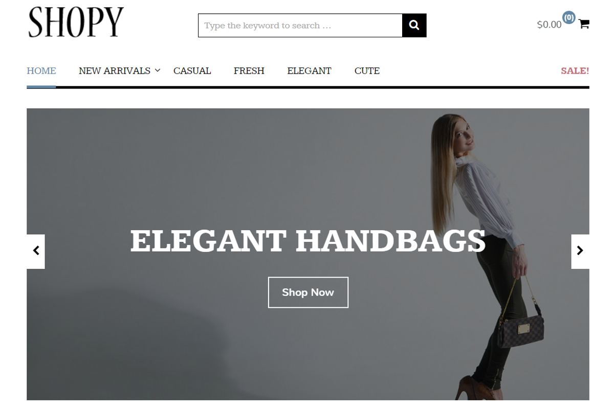 Shopy WordPress Theme, a WordPress Template by Theme Junkie (Photo 4 of 4)