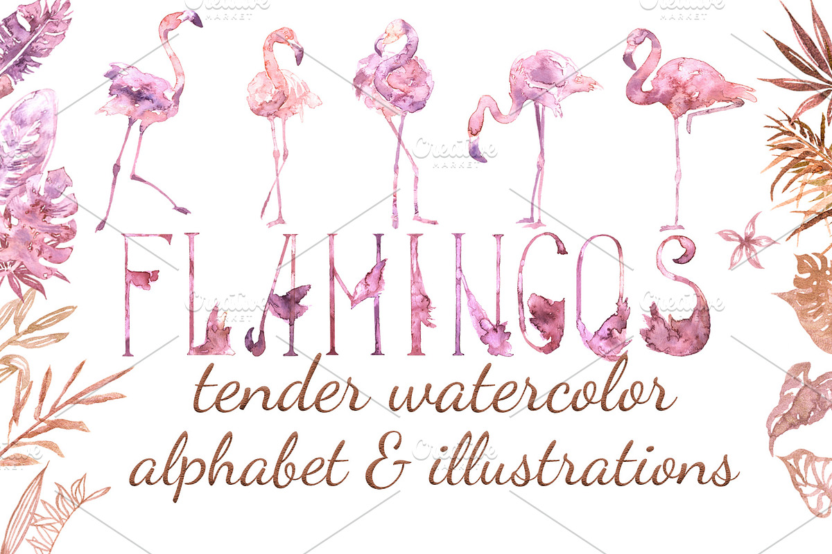 -20% Tender Flamingo Alphabet, an Illustration by Cat In Colour (Photo 2 of 10)