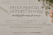 Butterfly Serenade Font, a Handwritten Font by Letterhanna Studio (Thumbnail 11 of 13)
