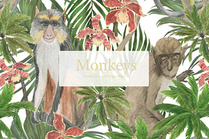 Monkeys - Watercolor Patterns