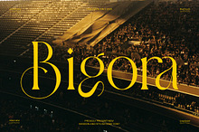 Bigora || Modern Classy Serif Font