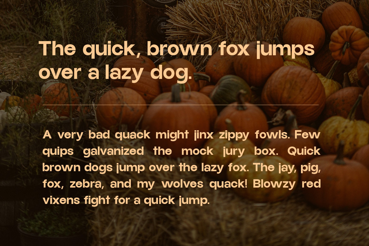 Carvello - Modern & Seasonal Sans, a Sans Serif Font by Webhance Studio (Photo 3 of 12)
