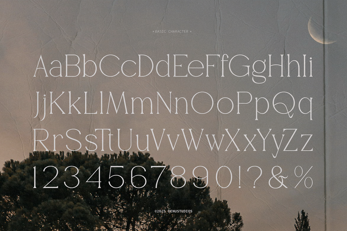Gibme Foggie | Modern Elegant Serif, a Serif Font by Denustudios (Photo 10 of 12)