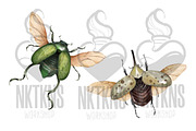 Watercolor Clipart Beetle Insect art, a Decorative Illustration by NKTKNS (Thumbnail 3 of 7)