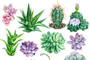 watercolor cacti and succulents, a Decorative Illustration by Hanna Hryharenka (Thumbnail 3 of 9)